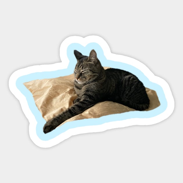 Sleeping Tabby Sticker by Amanda1775